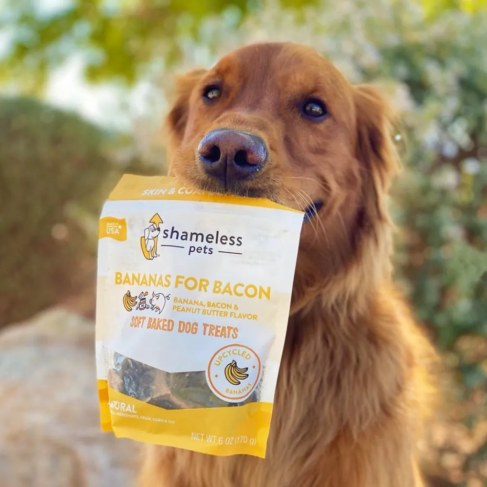Bananas for Bacon Soft Baked Dog Treat