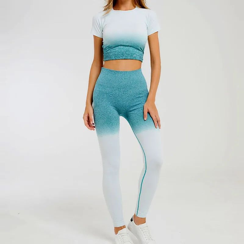 Ombre Seamless Fitness Leggings