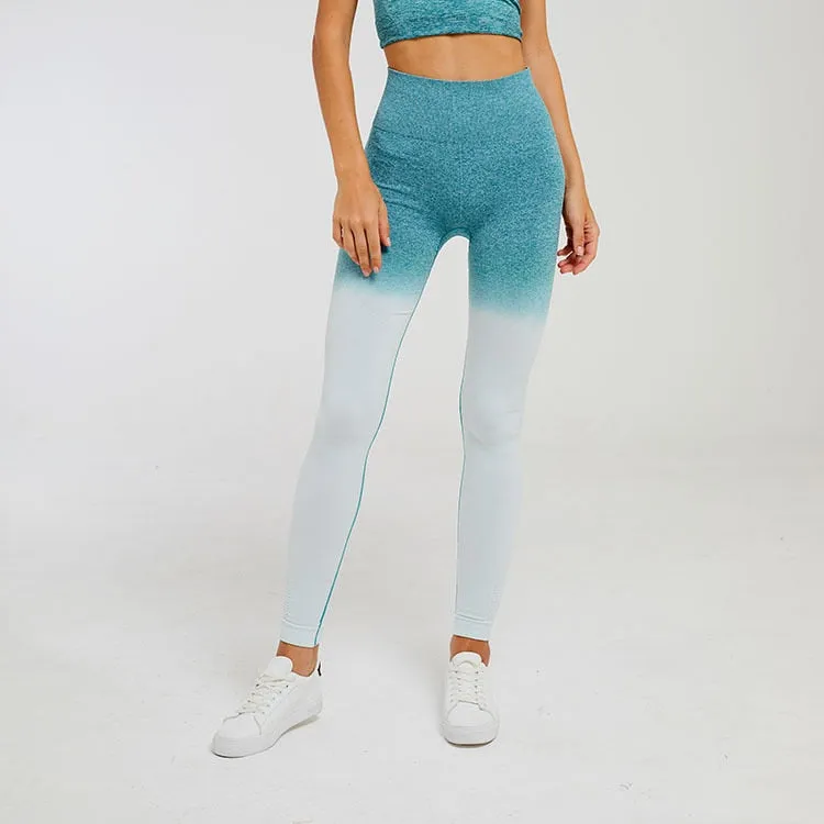 Ombre Seamless Fitness Leggings