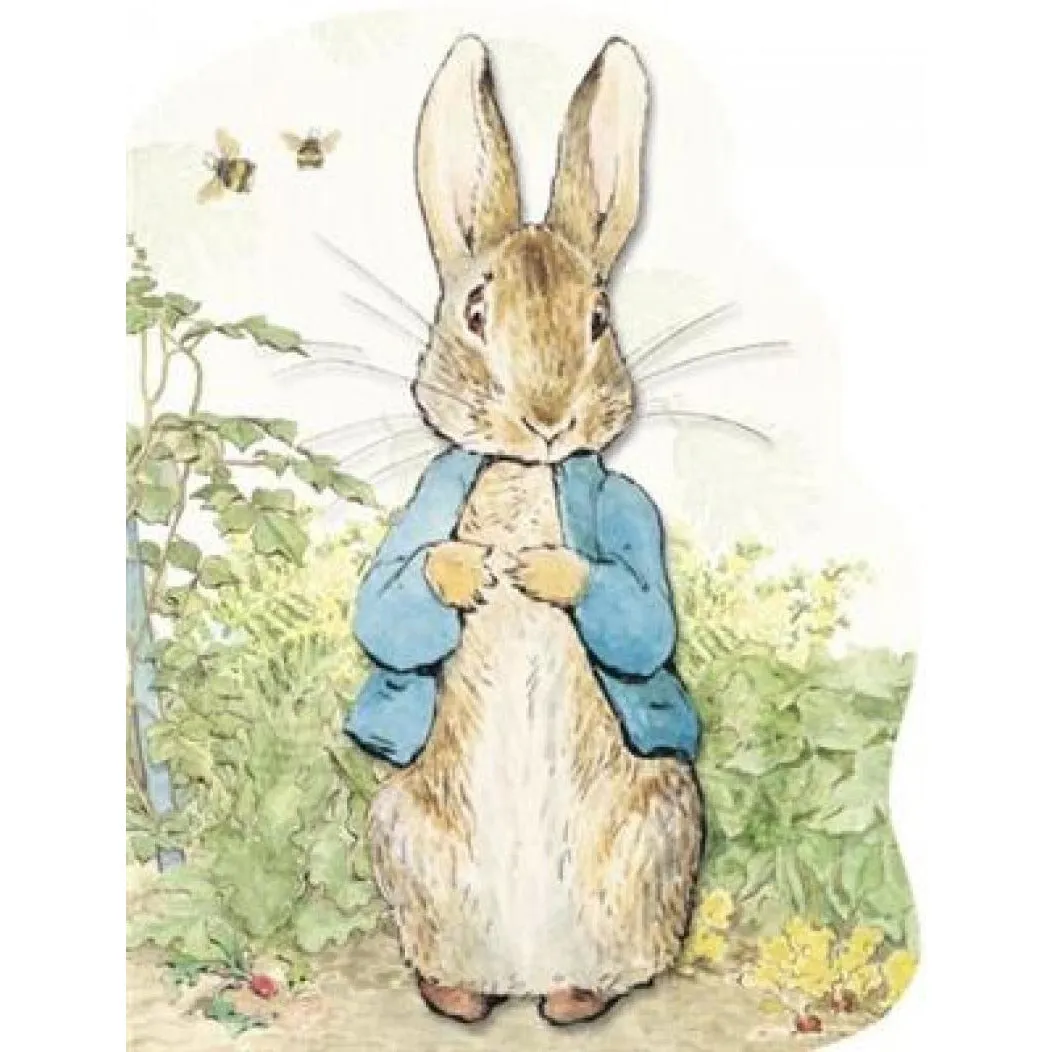 Peter Rabbit Soft Toy